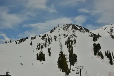 DSC_6670 (Large).JPG